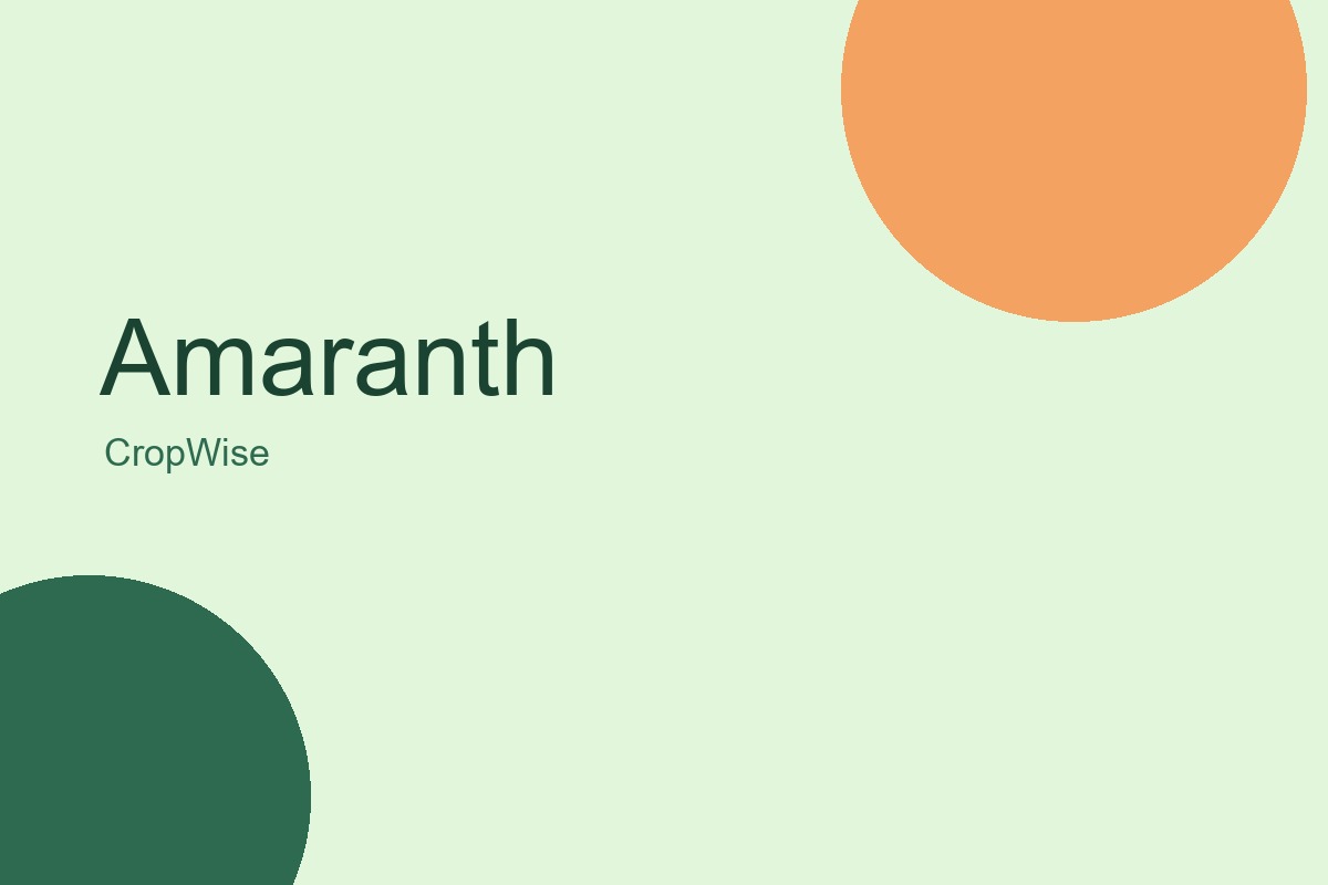 Amaranth